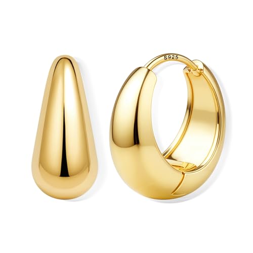 FIOROYAL 925 Silber Creolen Ohrring für Damen, Hypoallergene Ohrringe Klobig Kleine14K Gold Dick Knorpel Kreolen Huggie Creolen Ohrstecker für Empfindliche Ohren(Gold/Silber)(G9) von FIOROYAL