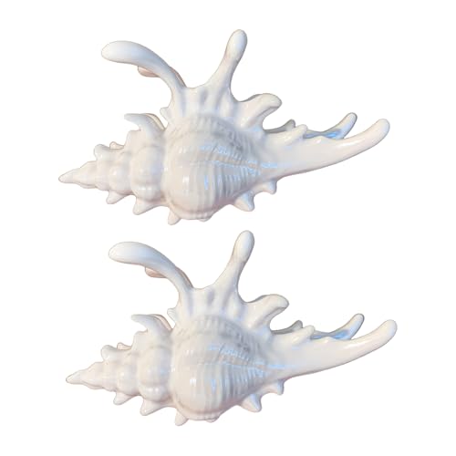 2pcs Acrylhaarklauen Clip Marine Conch Form Styling Clip Accessoire Stylische Designklemme Für Frauen Tragen Haarverzierungen von FIRSTXIU