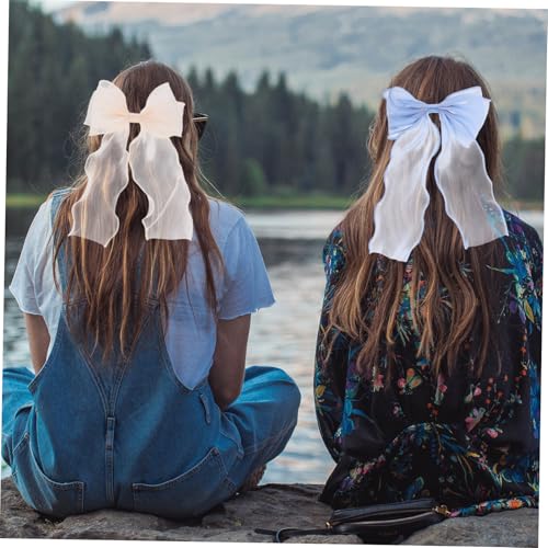 FIXOSHEE 2 Stck Teiliges Spring Hair Clips mit Netzstoff schleifen Dekorative Haarklammern für Frauen und Mädchen Sichere Haarschmuck accessoires in Champagner und Blau für Party und von FIXOSHEE