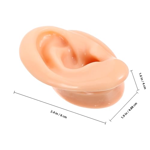FIXOSHEE 2 Stück Silikon Ohrmodell Realistische Fake Ear Samples Ohrring Halterung für Damen Schmuck Display Übung Langlebig Flexibel Natürlicher Bogen für Piercing und Lernzwecke von FIXOSHEE