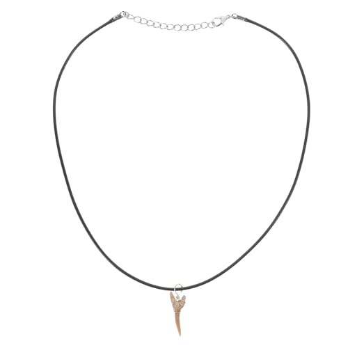 FIXOSHEE Haifischzahn Anhänger Halskette mit Verstellbarem Lederband Einzigartiger Schmuck mit Natürlichem Fossil Cooler Charme für Teenager Mädchen und Outfits von FIXOSHEE