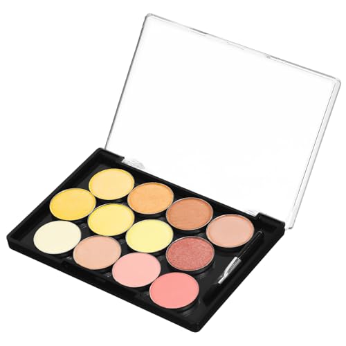 FIXOSHEE Magnetische Leere Lidschattenpalette mit Pinseln Multifunktionaler Make-up Organizer Magnetischer Aufbewahrungsbehälter für Lidschatten Tragbar und Leicht für Reisen und Business von FIXOSHEE