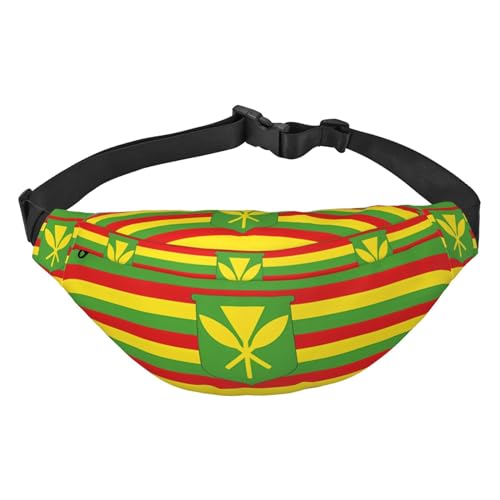 Gürteltasche mit Südafrika-Flagge, Crossbody-Tasche, für Herren, Damen, Laufen, Wandern, Bergsteigen, Reisen, Fitnessstudio, Fitness, Radfahren, Hawaiianische Flagge, Einheitsgröße von FInpan