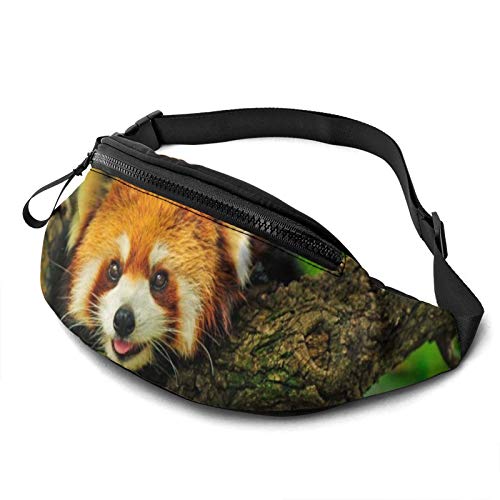 Gürteltasche für Männer und Frauen, Red Panda Climbs A Tree, Hüfttasche mit Gürtel, verstellbare Schultertasche, Umhängetasche, Brusttasche für Reisen, Wandern, Radfahren, Laufen von FJAUOQ