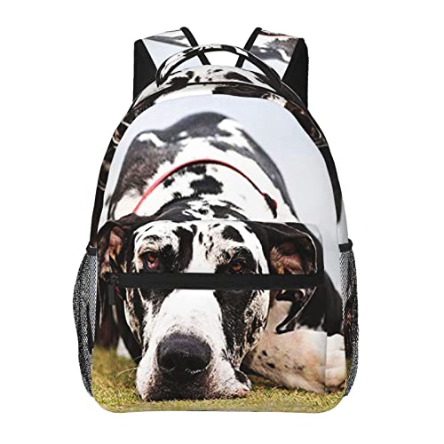 Reise-Laptop-Rucksack, Motiv: Deutsche Dogge, Hunde-Rucksäcke, robuster Tagesrucksack, Notebook-Computer-Tasche, Geschenke für Männer, Frauen, Erwachsene von FJAUOQ