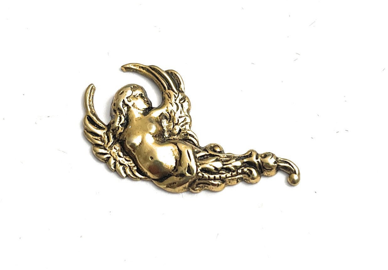 Cherub Mit Flügeln Anstecknadel Tack Pin/P47 von FLEAMARKETCAVE2