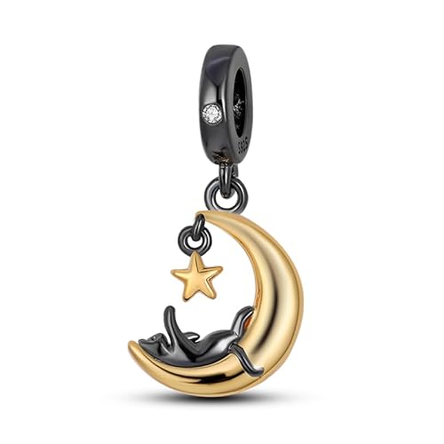 FLUFLO Charm Anhänger Damen 925 Sterling Silber für Armband Charms Beads passend für Pandora Armband und Halskette, Kompatibel mit Europäischen Armbänder für Frauen Mädchen von FLUFLO