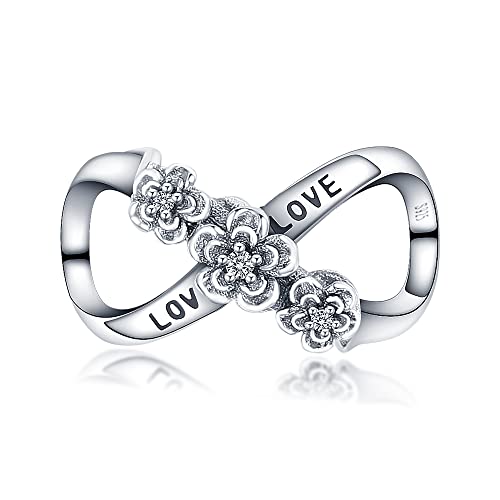 FLUFLO Charm Anhänger Damen 925 Sterling Silber für Armband Charms Beads passend für Pandora Armband und Halskette, Kompatibel mit Europäischen Armbänder für Frauen Mädchen von FLUFLO