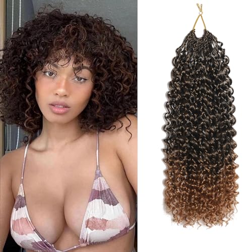 FLWAI Pre Looped Micro Kinky Curly Crochet Hair 8 Packs 12 Inch Yanky Twist Crochet Hair Kinky Twist Synthetic Wavy Curly Crochet Hair Extensions for Black Women (1B/T30, 8packs 12inch) von FLWAI