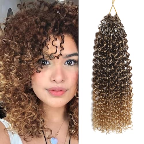 FLWAI Pre Looped Micro Kinky Curly Crochet Hair 8 Packs 12 Inch Yanky Twist Crochet Hair Kinky Twist Synthetic Wavy Curly Crochet Hair Extensions for Black Women (T33/27, 8packs 12inch) von FLWAI