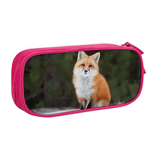 Funny Fox Große Federmäppchen mit 2 Fächern Federmäppchen Federmäppchen Bleistiftbeutel Tasche Organizer für Mädchen Jungen Student Schule Büro College -, rose, Einheitsgröße, Schulranzen von FLYIFE