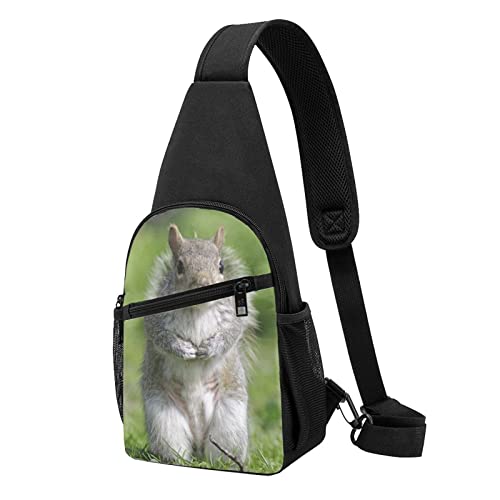 Süße Umhängetasche mit Lama-Blumenmuster, Brusttasche für Herren und Damen, lässiger Schulter-Rucksack, Umhängetasche, linke oder rechte Schultertasche, Rotes Eichhörnchen, Einheitsgröße Süße Umhängetasche mit Lama-Blumenmuster, Brusttasche für Herren und Damen, lässiger Schulter-Rucksack, Umhängetasche, linke oder rechte Schultertasche, Rotes Eichhörnchen, Einheitsgröße von FLYIFE