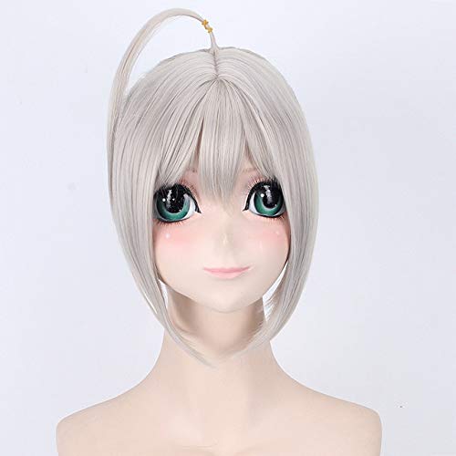 Alter Sabre Perücke Schicksal Grand Order Cosplay Perücke Synthetisches hitzebeständiges Haar Säbel PL-013-3 von FNBK