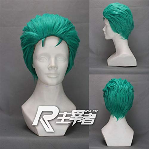 EINTEILIGE Perücken 2 Jahre später Roronoa Zoro Short Green Hitzebeständiges Faserhaar Peruca Anime Kostüm Cosplay Perücke KUZZ6462 von FNBK