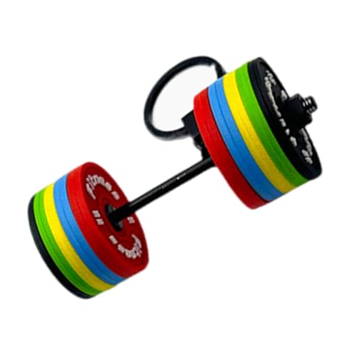 FOLODA Mode Robuste PVC Langhantel Schlüsselbund Tragbares Fitnessstudio Geschenke Accessoire Für Fitness Enthusiasten Und Bodybuilding Liebhaber von FOLODA