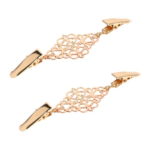 FOMIYES 2 Stück Pullover Clips Aus Legierung Kleiderclips Kleidungs Cinch Für Damen Kleidung Pullover Nadeln Zum Zusammenhalten Von ern Schal Cardigan von FOMIYES