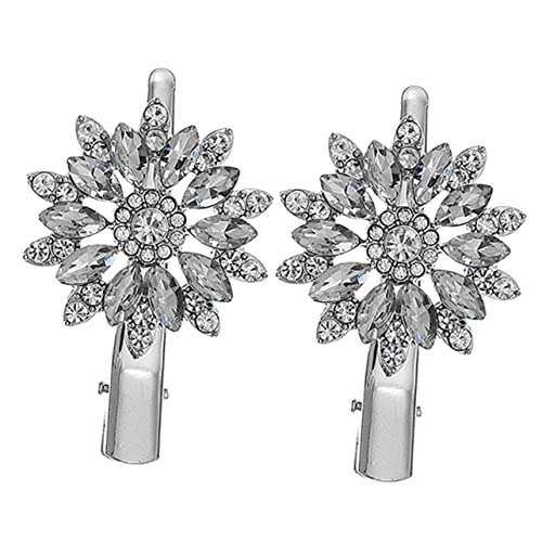 FOMIYES 2st Strass-blumen-haarspange Frauen Strass-entenschnabel-clips Haarspangen Mit Strasssteinen Blumen-entenschnabel-clips Haarschmuck Kopfbedeckung Strass-legierung Fräulein Kristall von FOMIYES