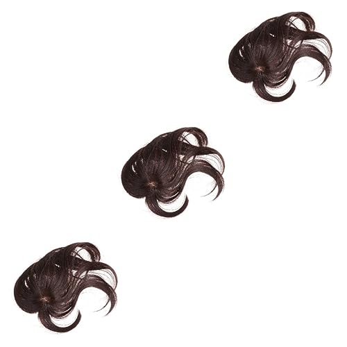 FOMIYES 3 Stk Perücke Air Knallt Haarspangen Für Damen Lockiges Haar Knallt Haarcrimper Für Frauen Haare Seitenknalle Clip Auf Knall Französisch 3d Oberstes Blatt Hochtemperaturdraht von FOMIYES