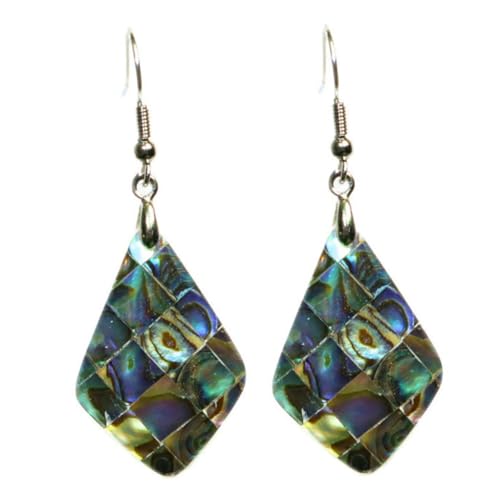 FOMIYES Abalone Muschel Ohrhänger Damen Natürliches Dangler Schmuck Langlebig Damen Ohrschmuck für Alltag und Party Attraktive Mehrfarbige Ohrringe von FOMIYES