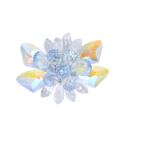 FOMIYES Damen Schuhschnalle aus Handgefertigtem Kristallglas Vielseitiger Schuhschmuck für Pumps Sandalen Stiefel Dekorative Clips für Hochzeit Party und Alltag Langlebiges Material von FOMIYES