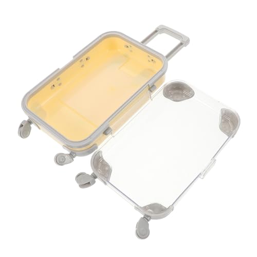 FOMIYES Mini-Koffer Für Wimpernbox Aufbewahrungsbox Für Falsche Wimpern Kleine Transparente Wimpernbox Wimpernhalter Reisefreundlich Make-up-Organizer von FOMIYES