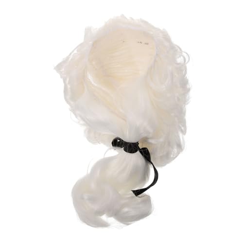 FOMIYES Kostüm Perücke für Cosplay Lange Lockige Herrenperücke für Halloween Stilvolle Perücke Hochwertigem Material Atmungsaktive Bequeme Verkleidung für Karneval Mottopartys von FOMIYES