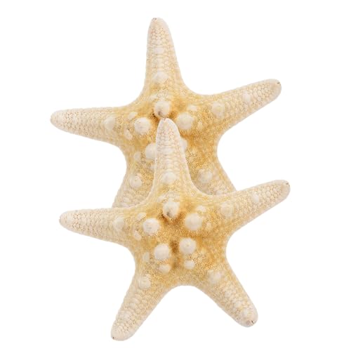 FONDOTIN 2 Stück Handgemachte Haarklammern mit Fünfzackigen Seesternen Natürliche Strand Haarschmuck ca Eleganter Haarschmuck für Damen und Mädchen für Hochzeit und Party FONDOTIN 2 Stück Handgemachte Haarklammern mit Fünfzackigen Seesternen Natürliche Strand Haarschmuck ca Eleganter Haarschmuck für Damen und Mädchen für Hochzeit und Party von FONDOTIN