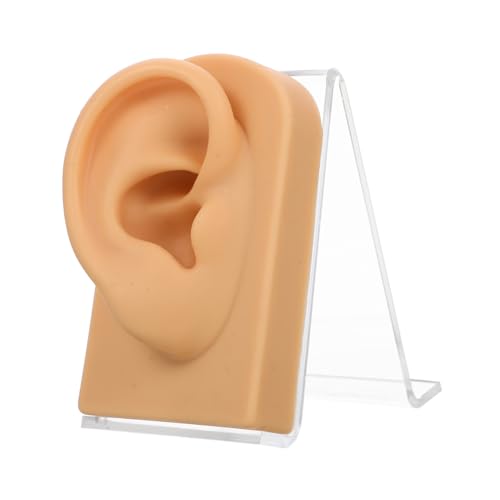 FONDOTIN Weiches Silikon Ohrmodell mit Acrylständer Flexibler Ohrenhalter für Ohrring Aufbewahrung Schmuckdisplay Piercing Übung und Dekoratives Zubehör für Damen von FONDOTIN