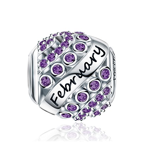 FOREVER QUEEN Februar Geburtsstein Charm Bead für Damen 925 Sterling Silber, zum Geburtstag 12 Farben Jan - Dez Anhänger für Armband und Halskette FQ0004-2“MEHRWEG” von FOREVER QUEEN