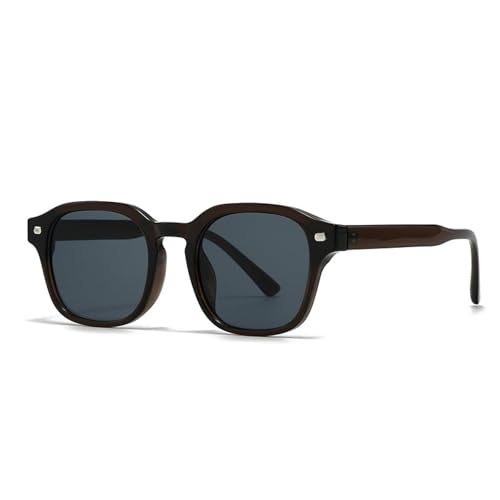 FORLUZ Beliebte Mode Sonnenbrillen Damen Retro Nieten Gelb Blau Shades UV400 Herren (Dunkelbraun Grau) von FORLUZ