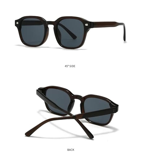 FORLUZ Beliebte Mode Sonnenbrillen Damen Retro Nieten Shades UV400 Herren (C4 Dunkelbraun Grau) von FORLUZ