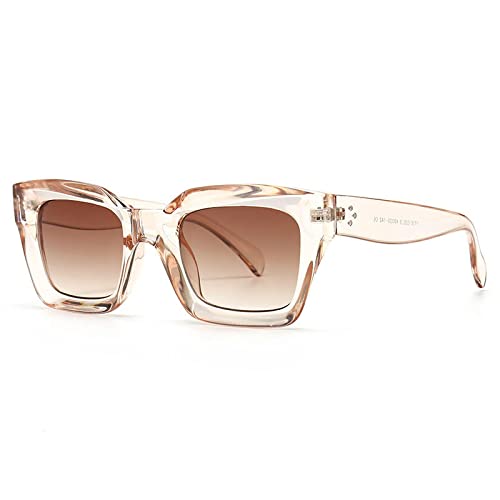 FORLUZ Modische Cat-Eye-Sonnenbrille für Damen, Blau/Lila, UV400-Schutz, für Herren (Champagnertee) von FORLUZ