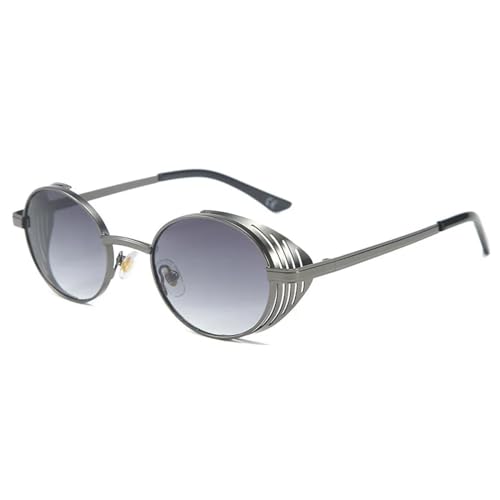 FORLUZ Ovale Punk-Sonnenbrille für Damen und Herren, rund, Steampunk-Retro-Brille, UV400 (C2) von FORLUZ