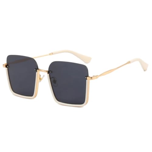 FORLUZ Sonnenbrille Metall Herren Brille UV400 (Beige Grau) von FORLUZ