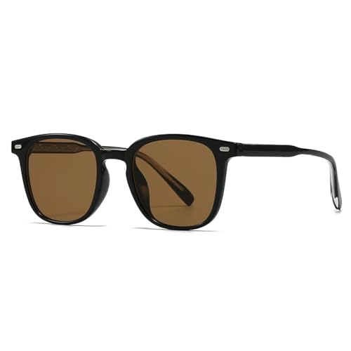 FORLUZ Straßenfotografie-Sonnenbrille im Retro-Stil, literarische Sonnenbrille aus Acryl, moderner Charme (Kaffee) von FORLUZ