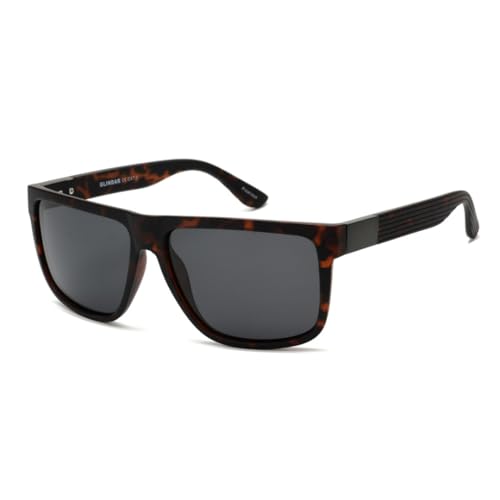 FORLUZ Vintage Herren Damen Sonnenbrille Gestreifte Beine Metalldekoration UV400 (c4 demi grey) von FORLUZ