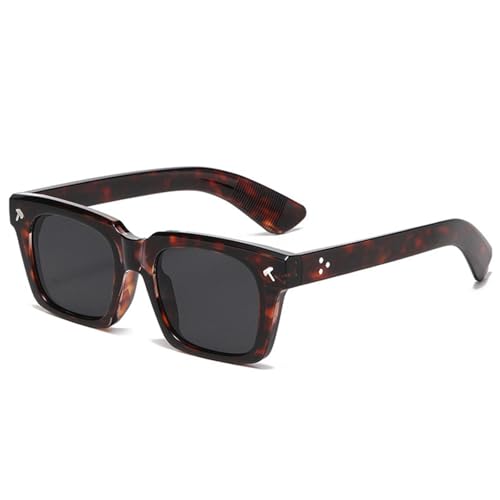 FORLUZ Vintage Herren Sonnenbrille Mode Gelb Blau Shades UV400 Damen Trend Nieten Punk Sonnenbrille (Leopardengrau) von FORLUZ
