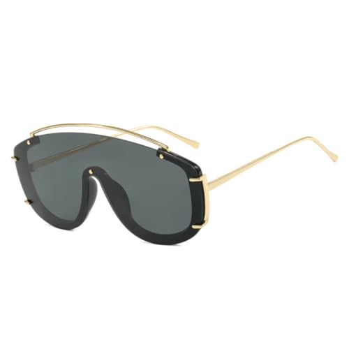 Übergroße einteilige Steampunk-Sonnenbrille aus Metall für Damen, trendige Outdoor-Sport-Sonnenbrille für Herren, winddichte Schutzbrille, UV400-Schutz (schwarz/grau) von FORLUZ