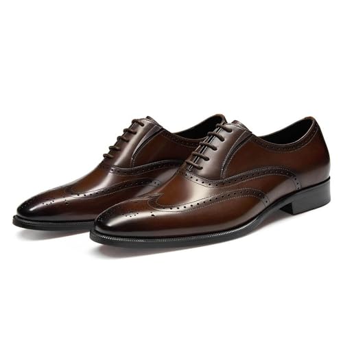 FRASOICUS Herrenschuhe mit echtem Leder in klassischem Brogue-Elastikband Oxford formell, Dunkelbraun, 44 EU von FRASOICUS