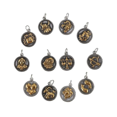 FRCOLOR 12 Stück Teiliges Diy Zodiac Anhänger Kreative Schmuckherstellung Schlüsselanhänger für Designs Geschenkideen für Freunde Familie von FRCOLOR
