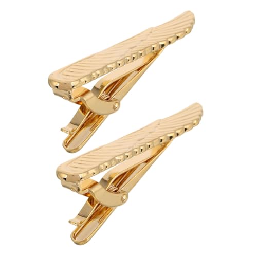 FRCOLOR 2 Stück Flügel Krawattenklammern für Herren Elegantes Metall Design Langlebig und Rutschfest Business Accessoire für Hochzeit Meeting und Formelle Anlässe von FRCOLOR