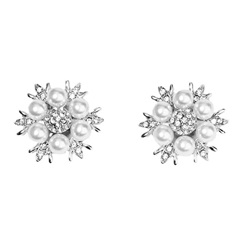 FRCOLOR 2 Stück Glänzende Brautschuh Clips mit Schnalle Abnehmbare Schuhverzierung für Partyschuhe Eleganter Schuhschmuck für Damen von FRCOLOR