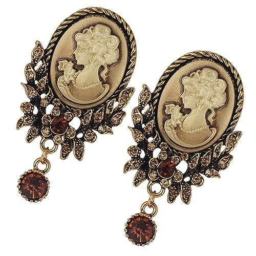 FRCOLOR 2 Stück Retro Brosche aus Legiertem mit Funkelnden Strasssteinen Modisches Anstecknadel für Damen zur Kleidung Taschen Hüte und Schals Leicht und von FRCOLOR