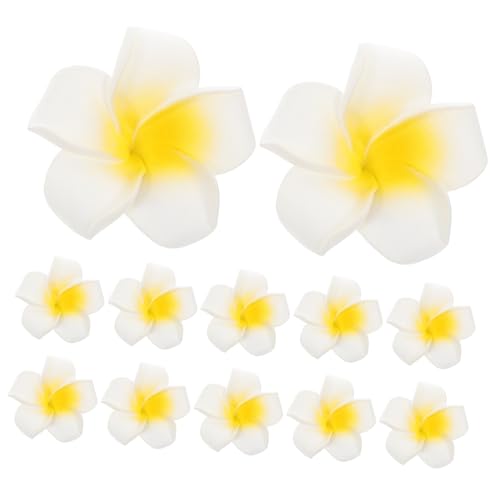 FRCOLOR 25 Stück Plumeria Haarschmuck Für Frauen Urlaub Strand Haarspangen Zum Tragen Und Feiern Eleganter Floraler Haarschmuck In Niedlichen Und Farbenfrohen Designs von FRCOLOR