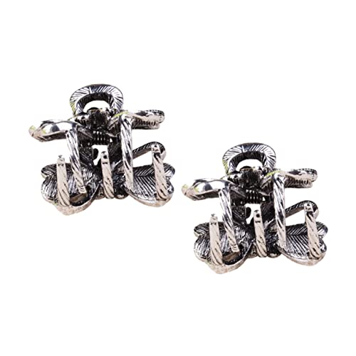FRCOLOR 2stücke Haarklammer Kleine Haarclips Haarspangen Haarklauenclip Frauen Mädchen Haarzubehör Mode Haaraccessoires von FRCOLOR