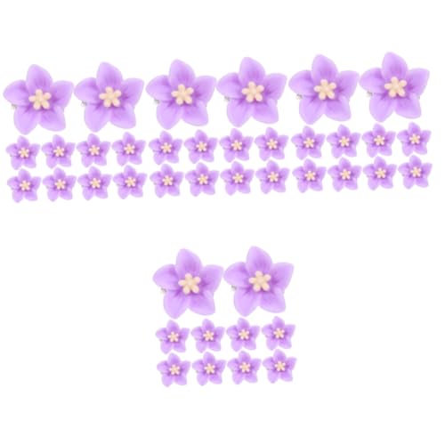 FRCOLOR 40stücke Mini Blumen Haarklammern Für Mädchen Süße Haarclips Aus Resin Für Hochsteckfrisuren Zöpfe Und Alltagslooks Hochwertiger Haarschmuck Für Kleinkinder von FRCOLOR