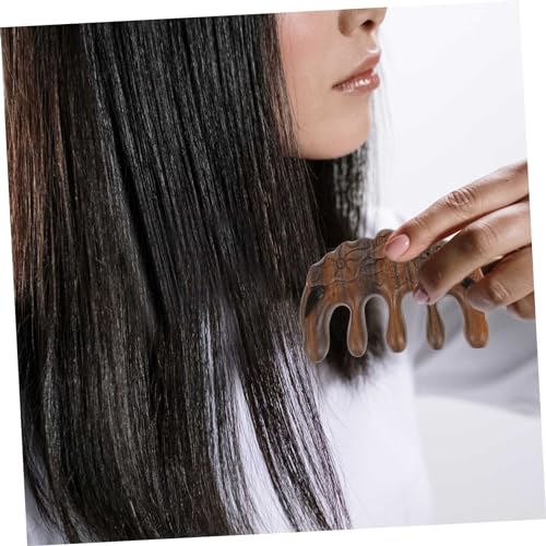 FRCOLOR 6St Kamm lockengel curly hair haar kur lockenwickler geschnk ideen Haarbürste aus Sandelholz Haarbürste für Frauen Haarpflegemittel Haarbürste für Kinder Kämme necken Fräulein von FRCOLOR