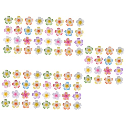 FRCOLOR 80 Stück Frangipani Haarspangen Haarspangen Hochzeit Kopfbedeckung Kopfbedeckung Für Frauen Hibiskus Haarspangen Mädchen Haarspange Kunstblumen Hochzeits Haarspange Aus von FRCOLOR