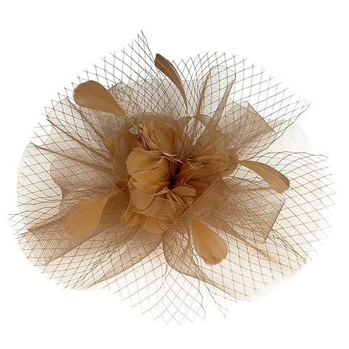 FRCOLOR Fascinator Hut Netzgewebe mit Haarklammer Haarreif für Frauen Eleganter Kopfschmuck für Hochzeiten Teepartys Cocktailpartys von FRCOLOR