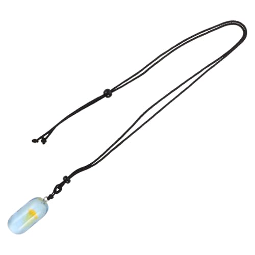 FRCOLOR Glow In The Dark Jellyfish Pendant Necklace Luminous Ocean Resin Jewelry For Women Beach Holiday Mom Wife Halloween von FRCOLOR